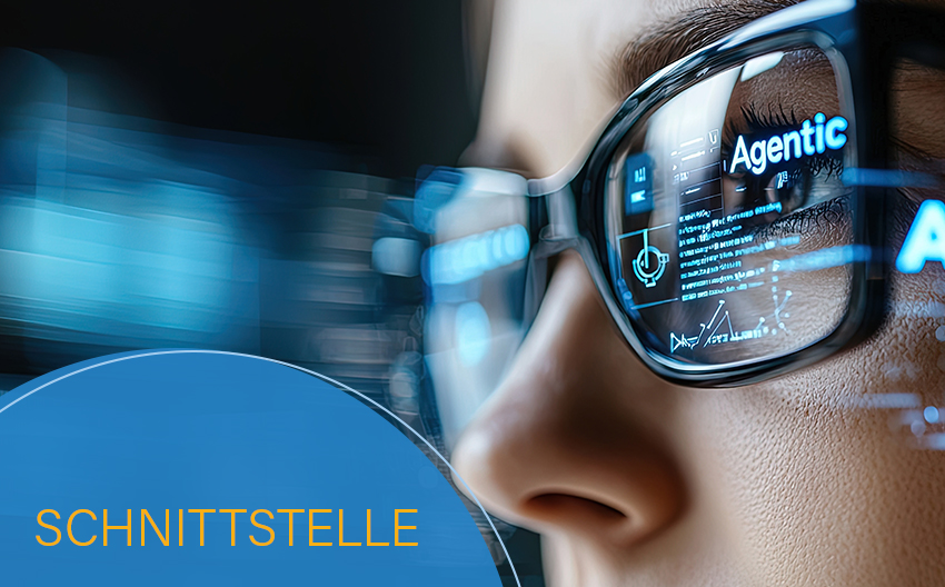 Schnittstelle: VDDS-Media